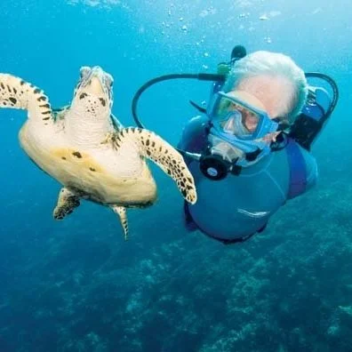 Today's Prompt: Explore Underwater like Jacques Cousteau