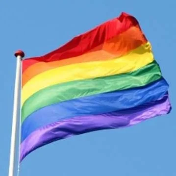 Make A Flag that Represents YOU with Pride