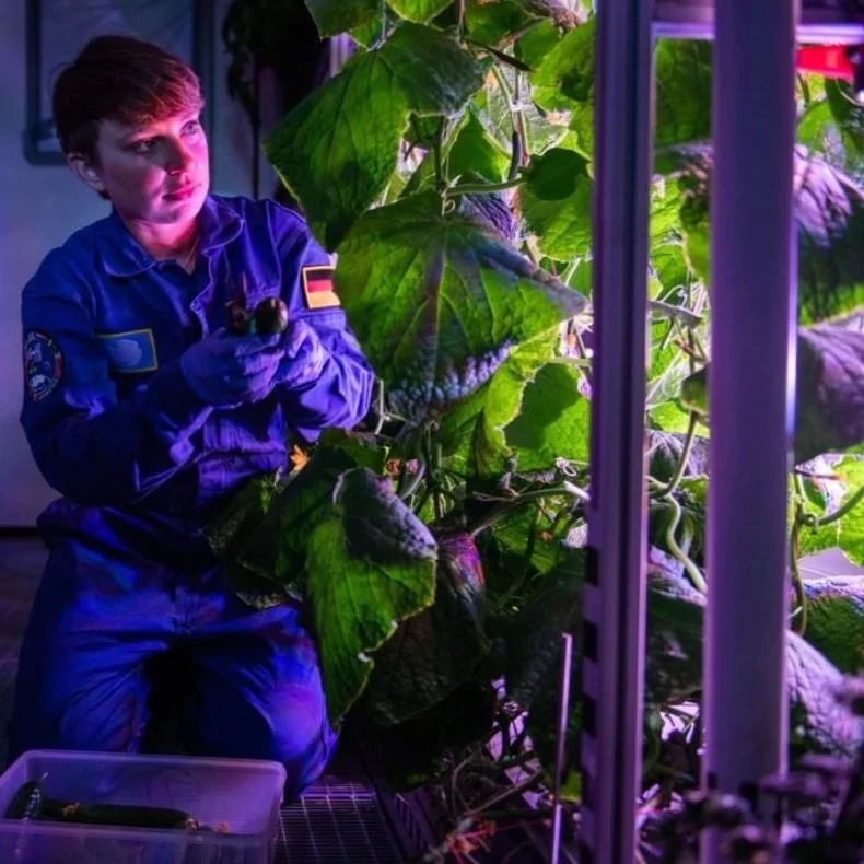 Grow Food in a Greenhouse on Mars