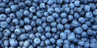 Invent for Blueberry Farmers