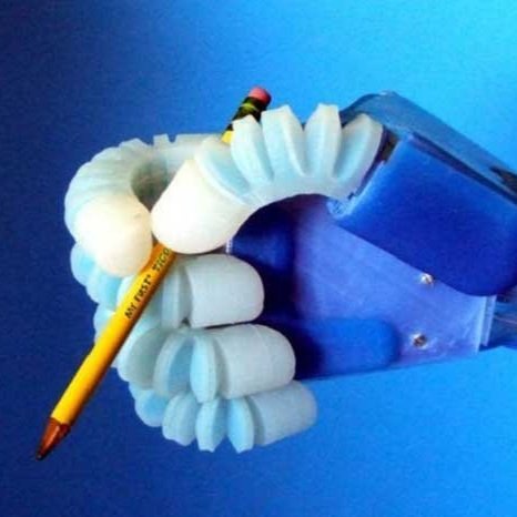 Engineer a Soft Robot Inspired by Nature