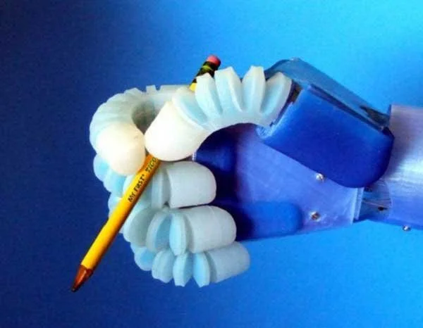 Engineer a Soft Robot Inspired by Nature