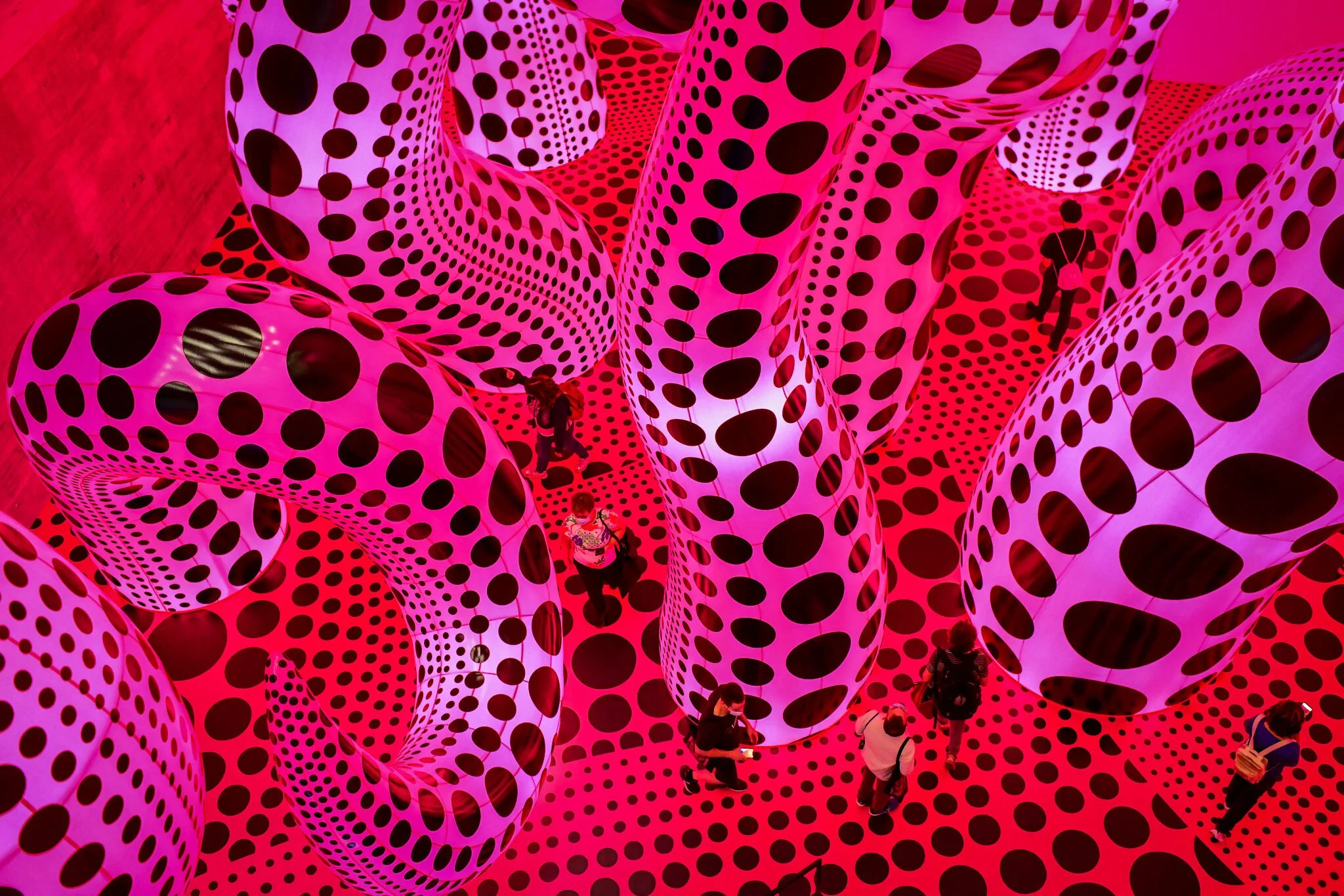 Create Dot Paintings like Yayoi Kusama