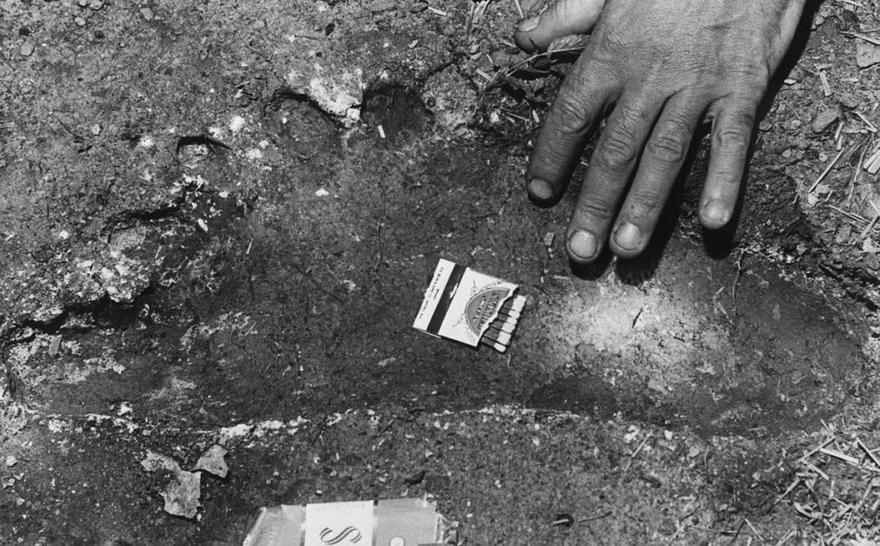 Travel the World in Search of Bigfoot