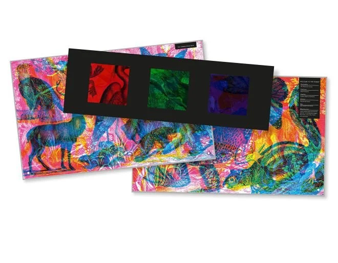 Magically Explore Nature Through Colors