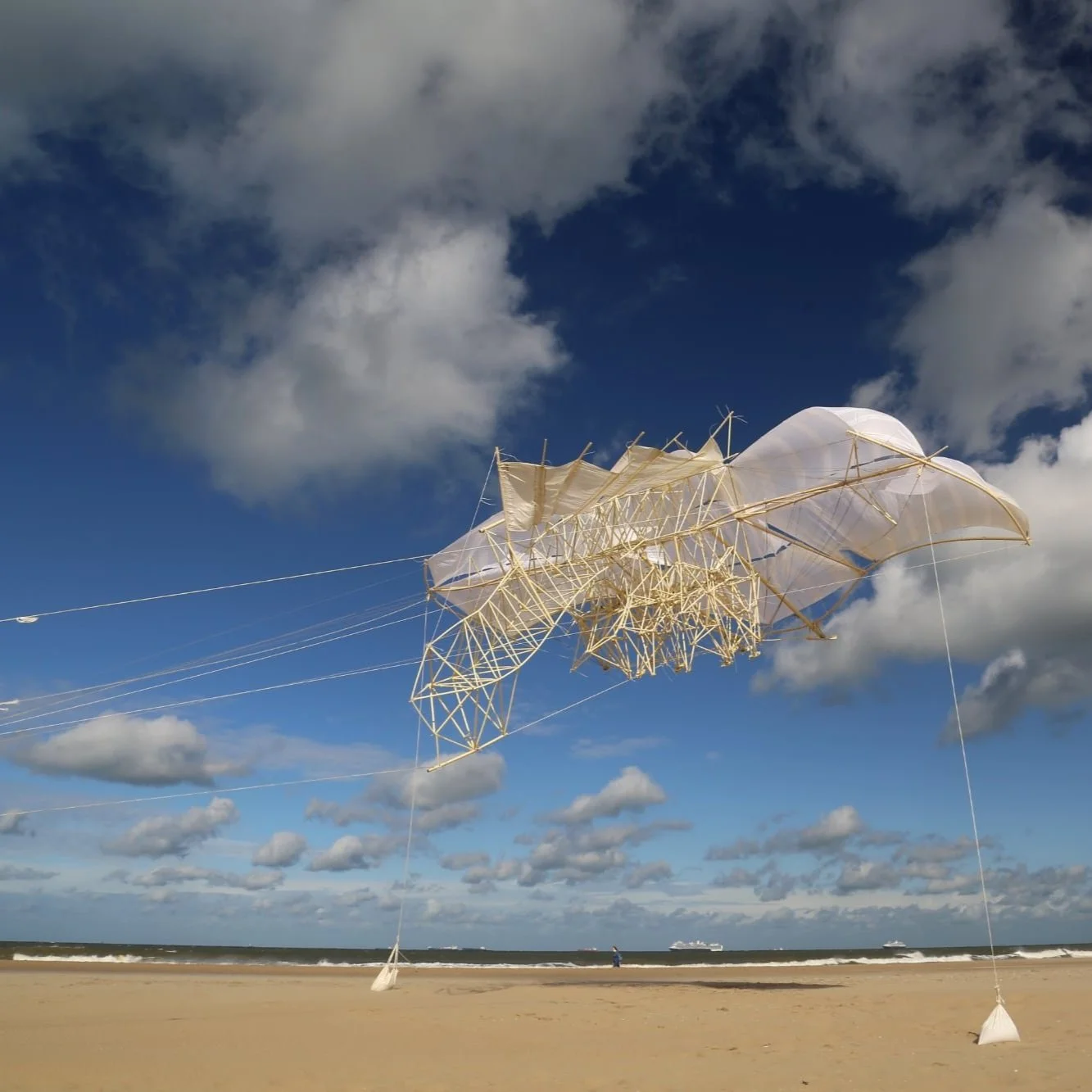 Build New Forms of Life like Theo Jansen