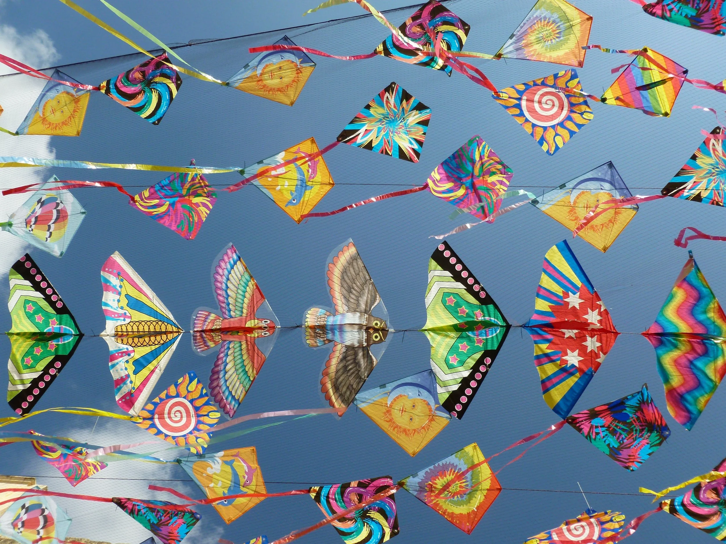 Fly a Kite in the Bali Kite Festival