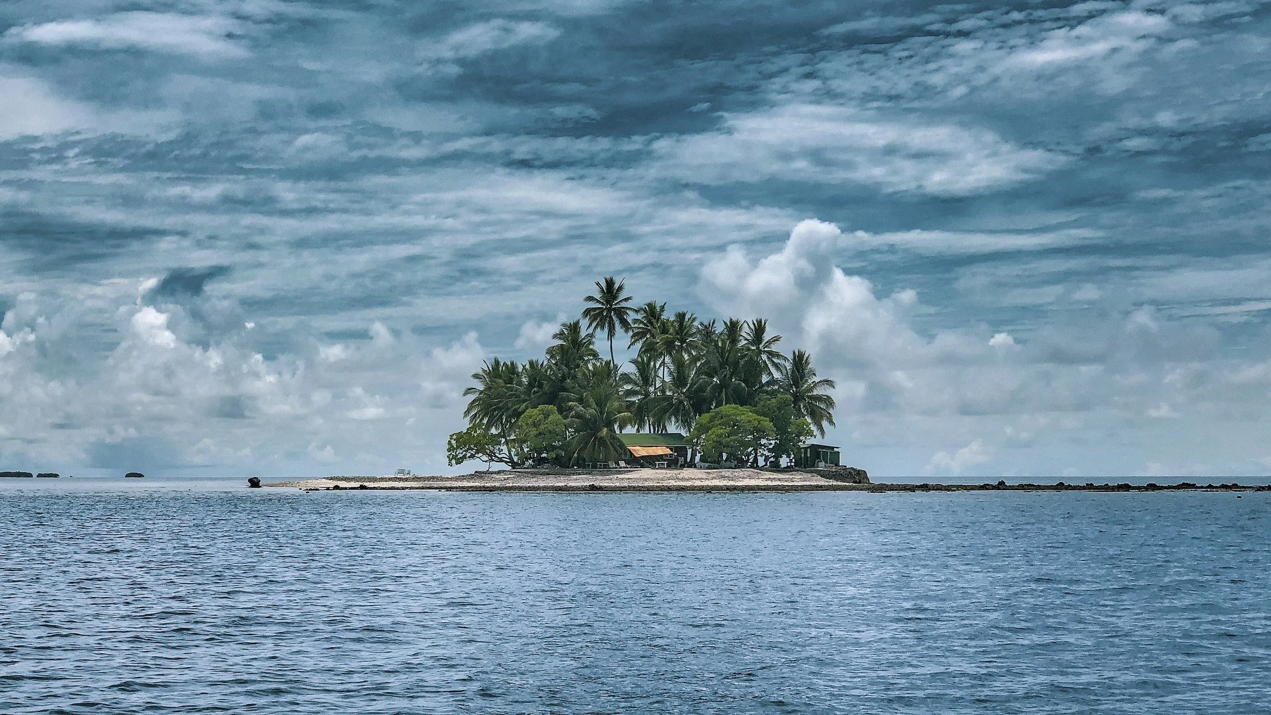 Make Man-Made Islands that Help Marine Life Flourish