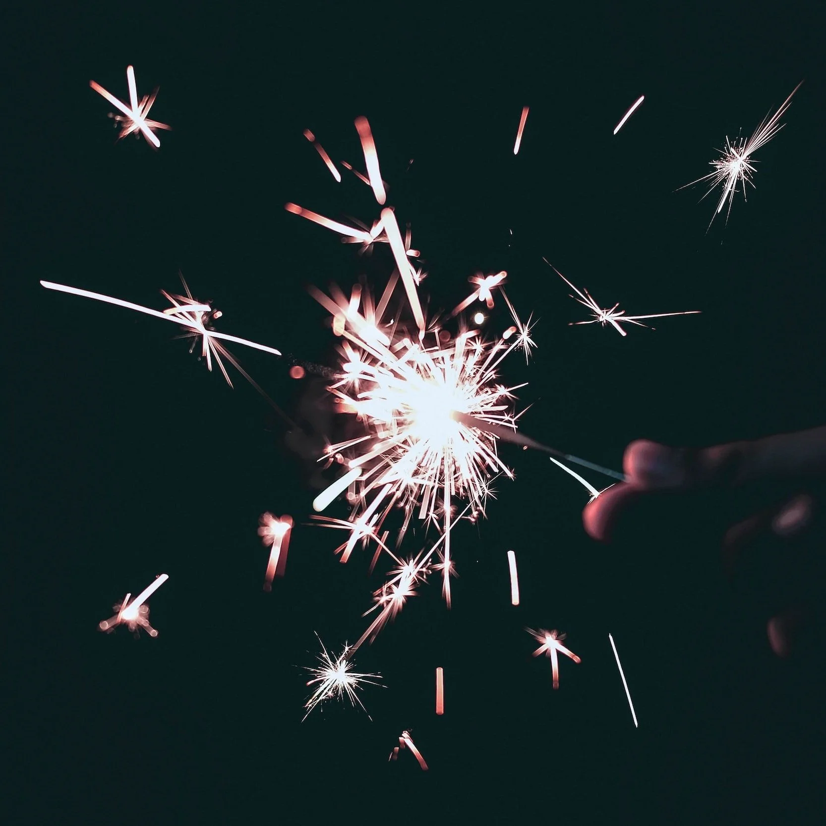 Host A Party To Celebrate the New Year
