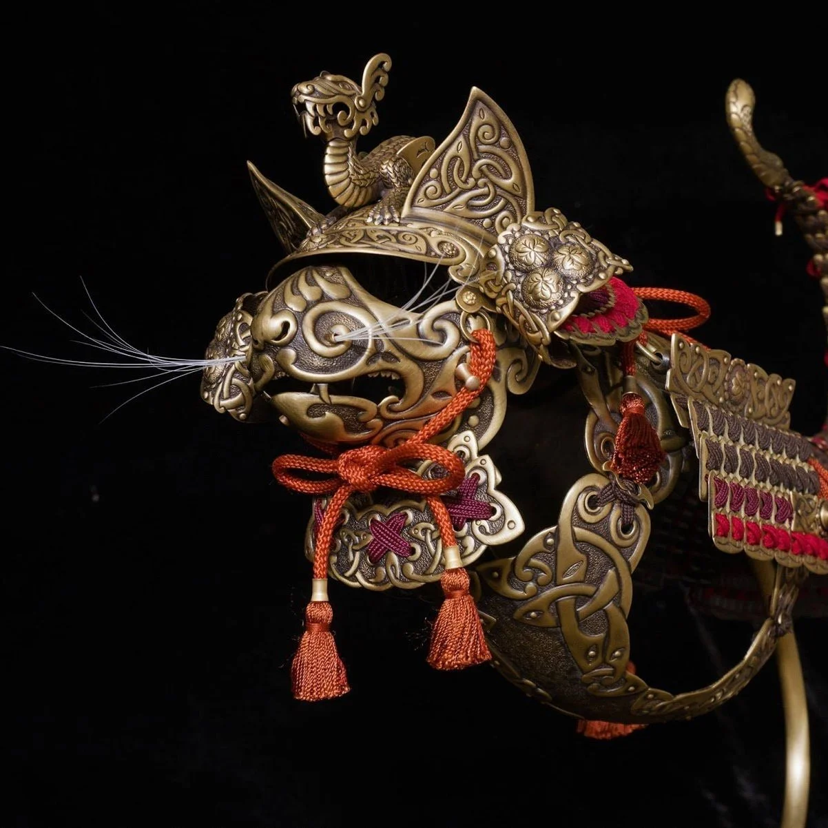 Transform Your Pet Into A Warrior