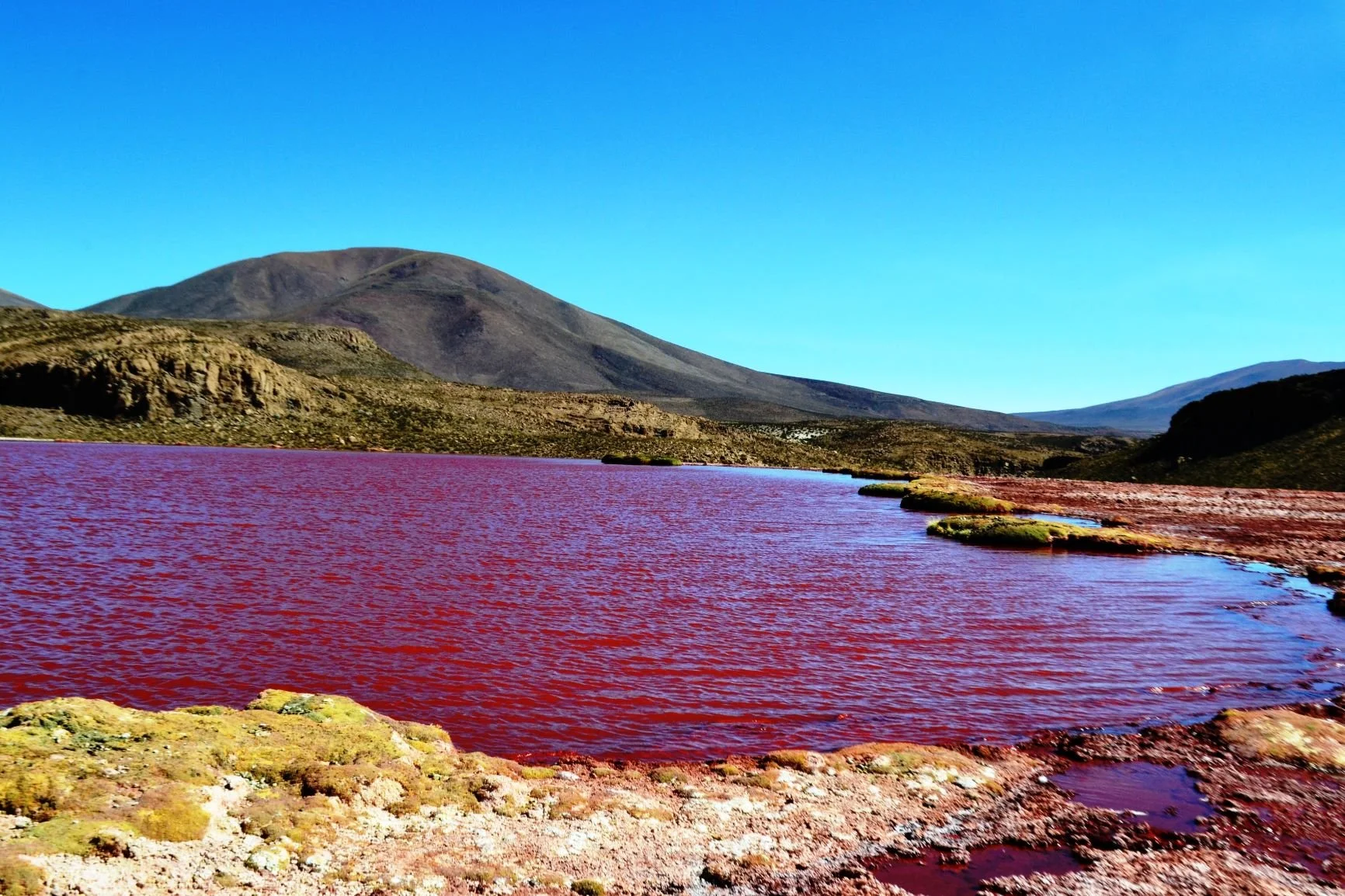 Study Microorganisms in the World's Deadliest Lakes