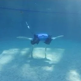 Engineer A Robot Inspired By Marine Animals