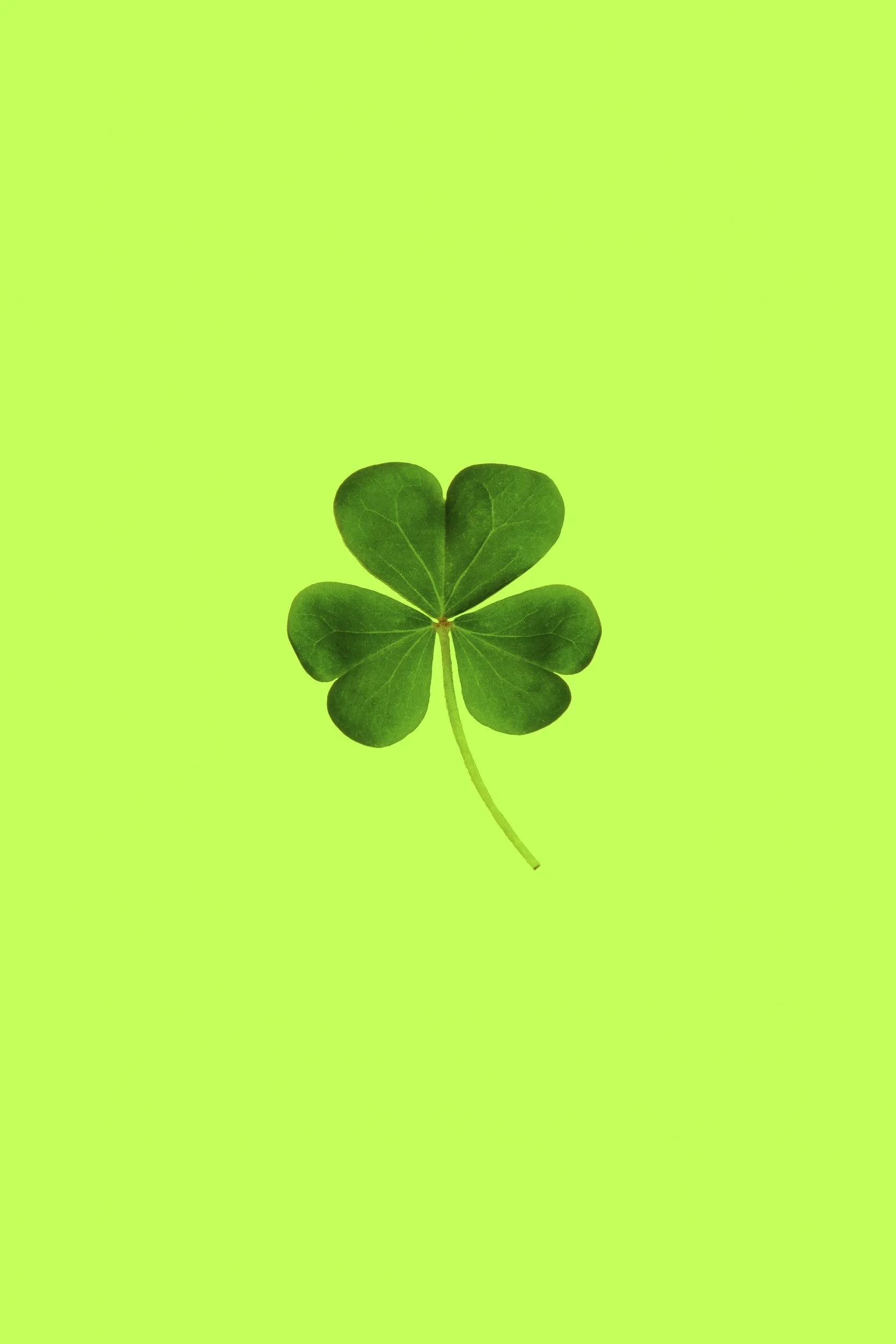 Celebrate St. Patrick's Day with the Color Green