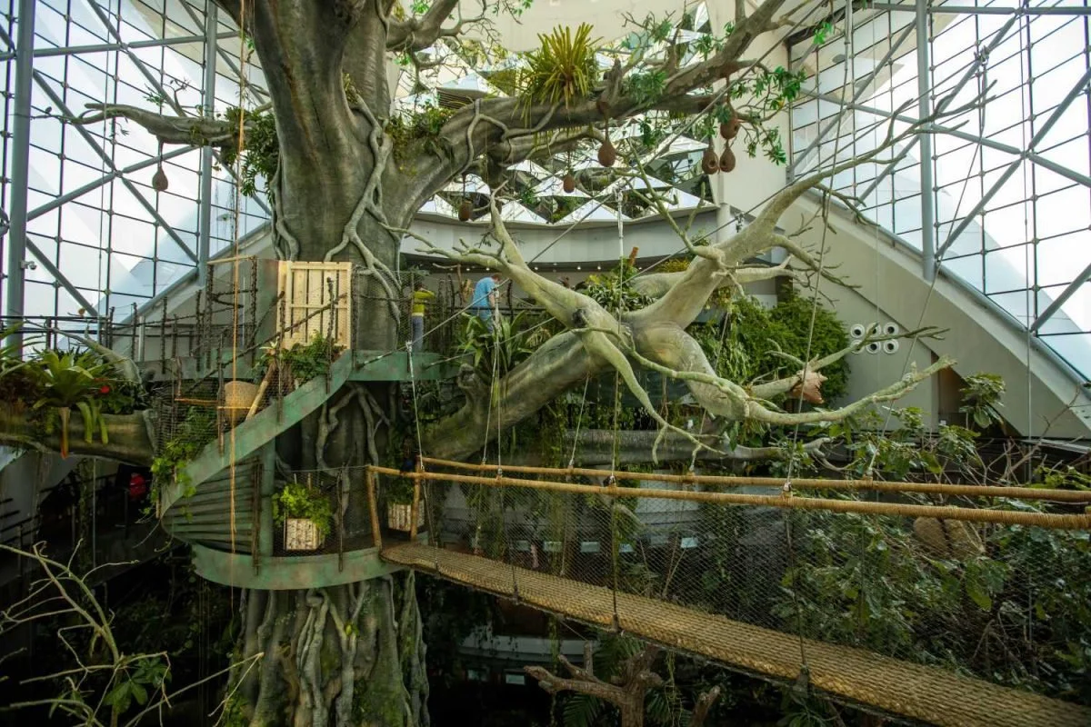 Code An Indoor Bio-Dome