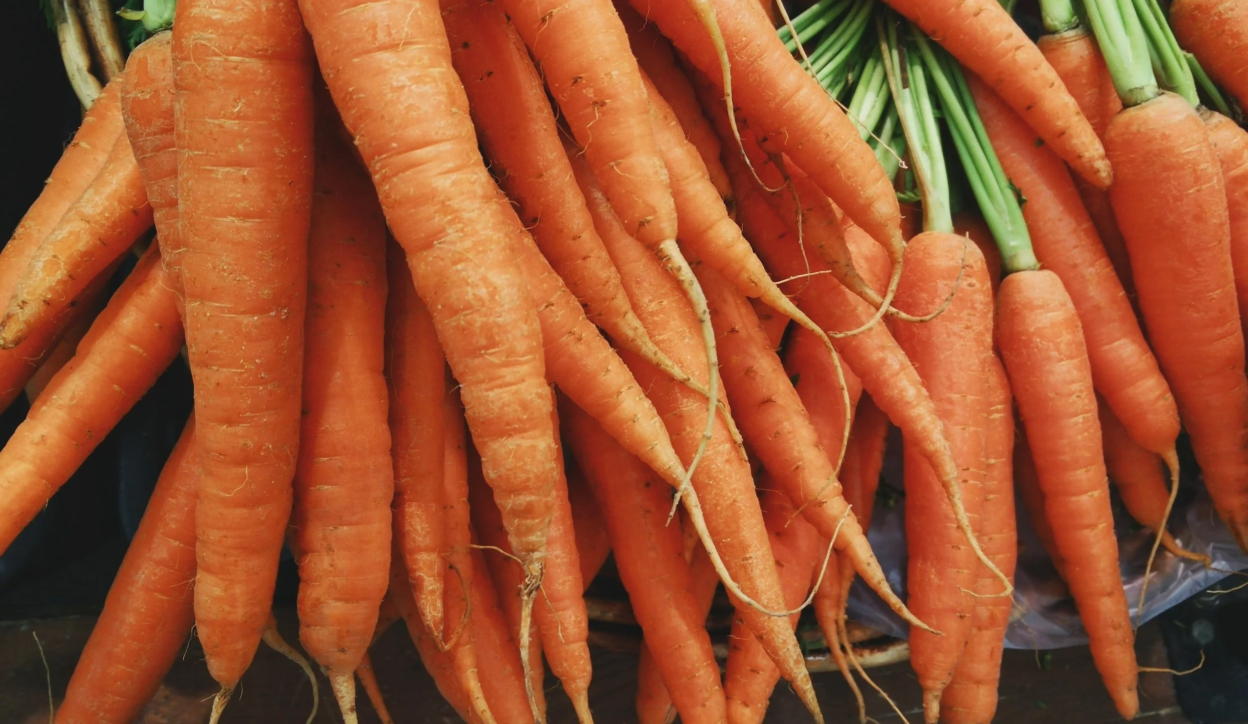 Harvest The Crunchiest Carrots From Your Garden
