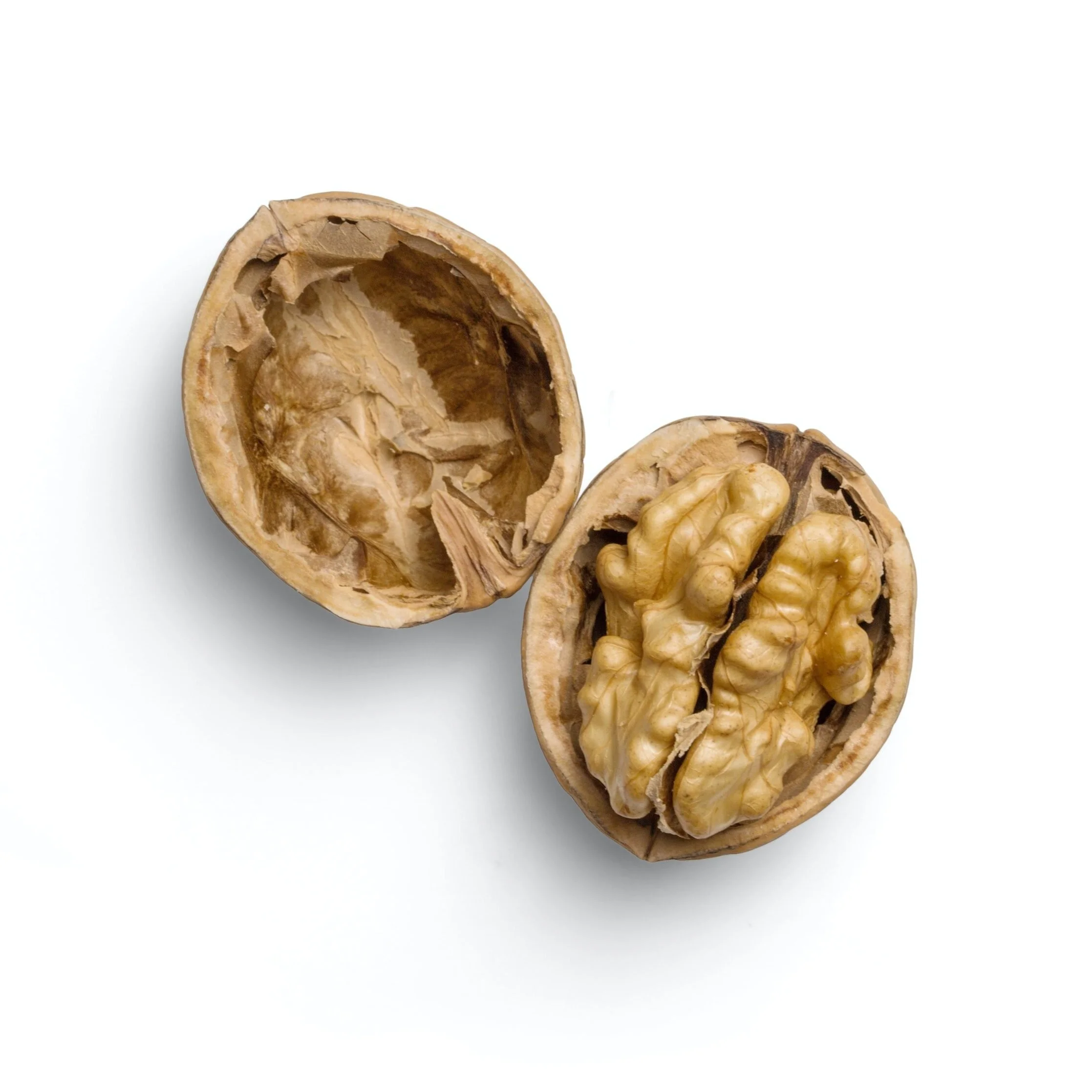 Make A Five Course Dinner With Walnuts