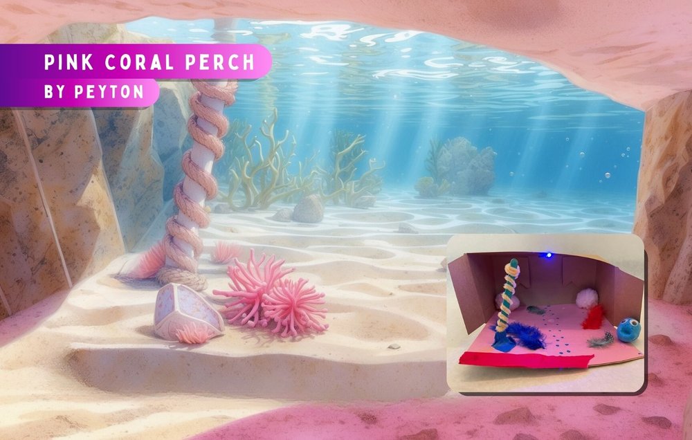 Pink Coral Perch.jpg