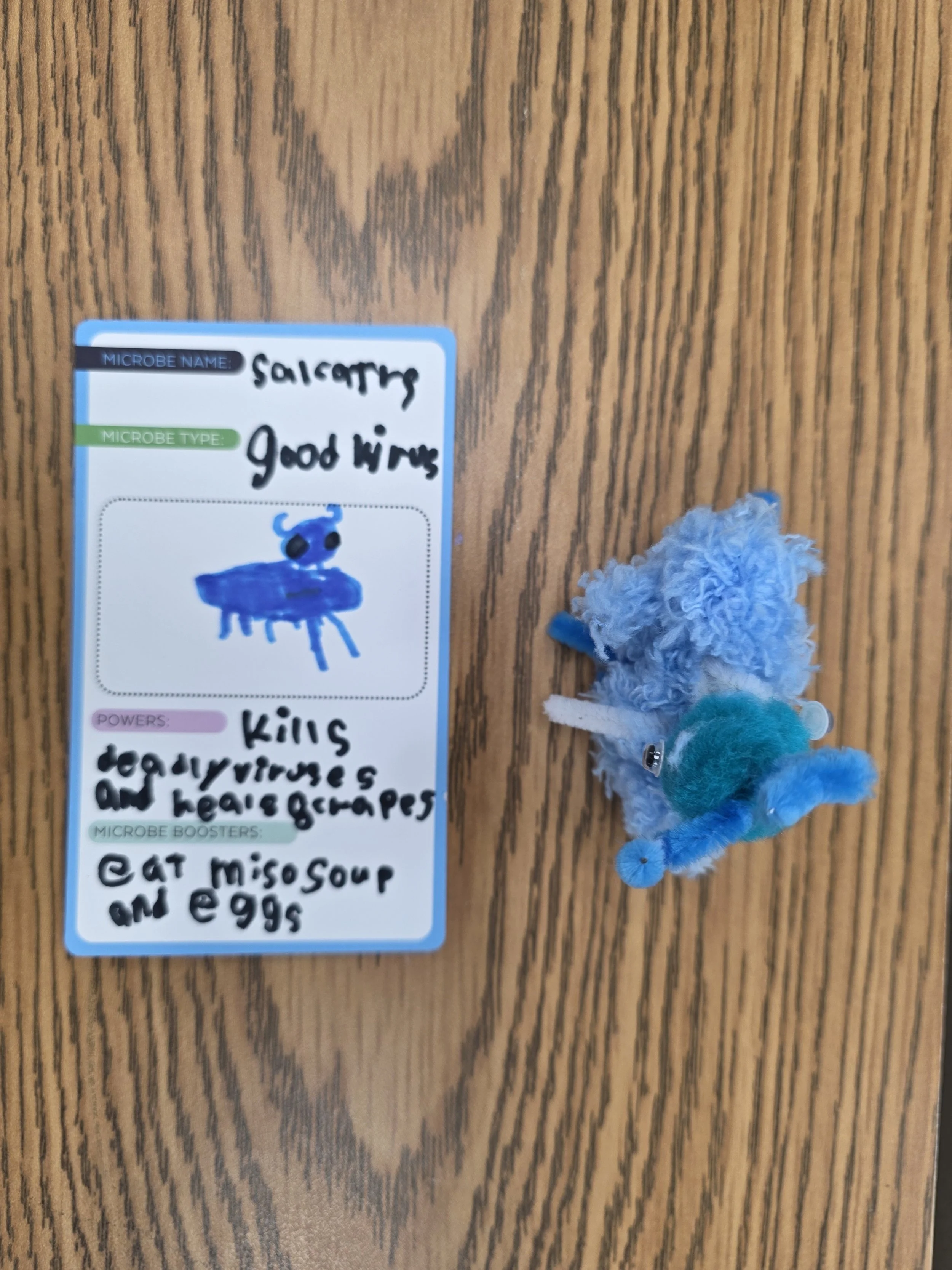 1000051873.jpg