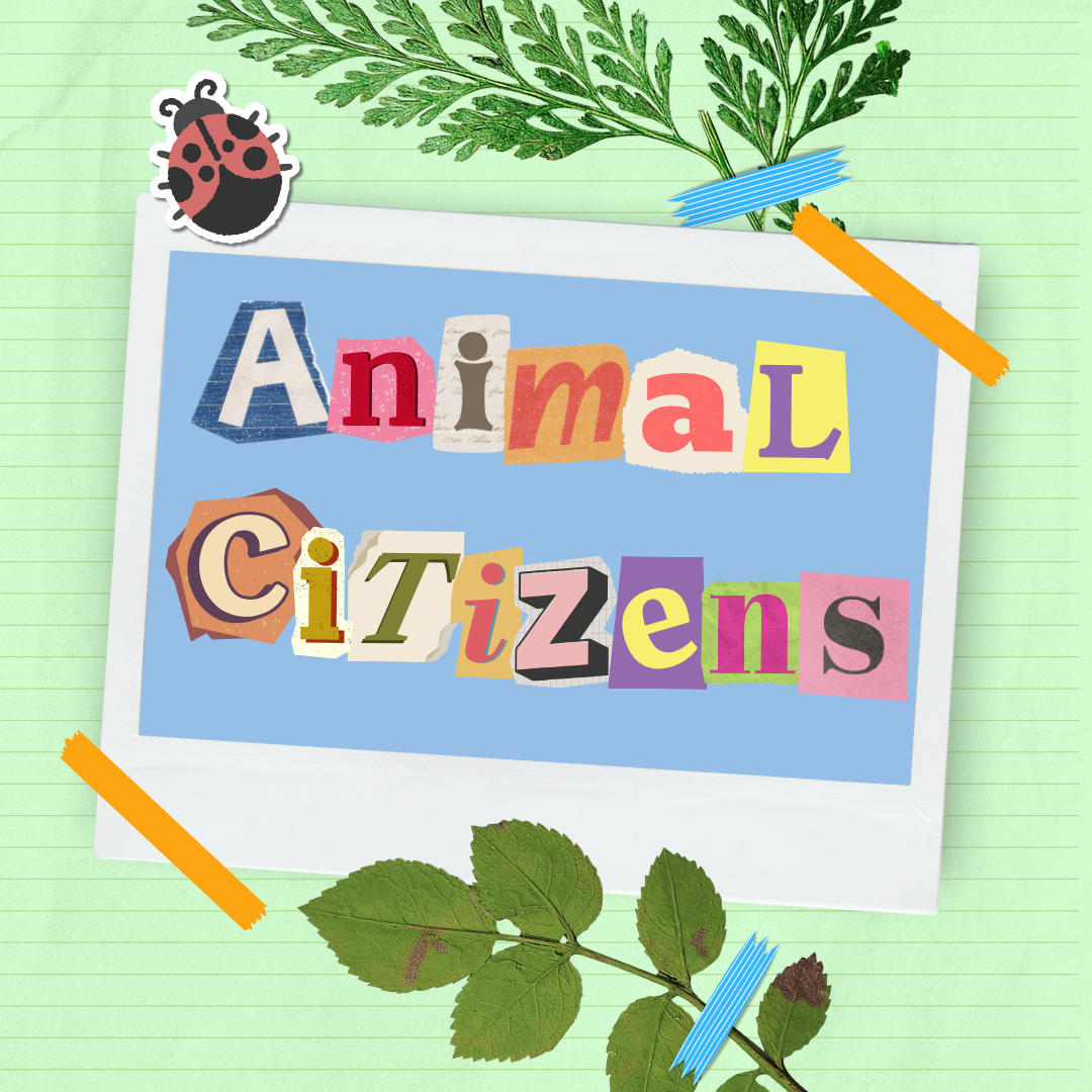 GIANT Photo Album: Animal Citizens at the Granby Book Festival 