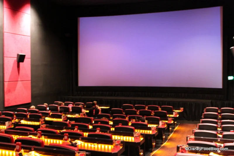 Movie-Screen-Dine-In-Theater.jpg