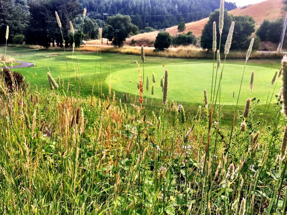 Golf Course 5.jpg