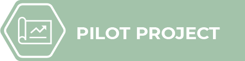 Asset 2.png