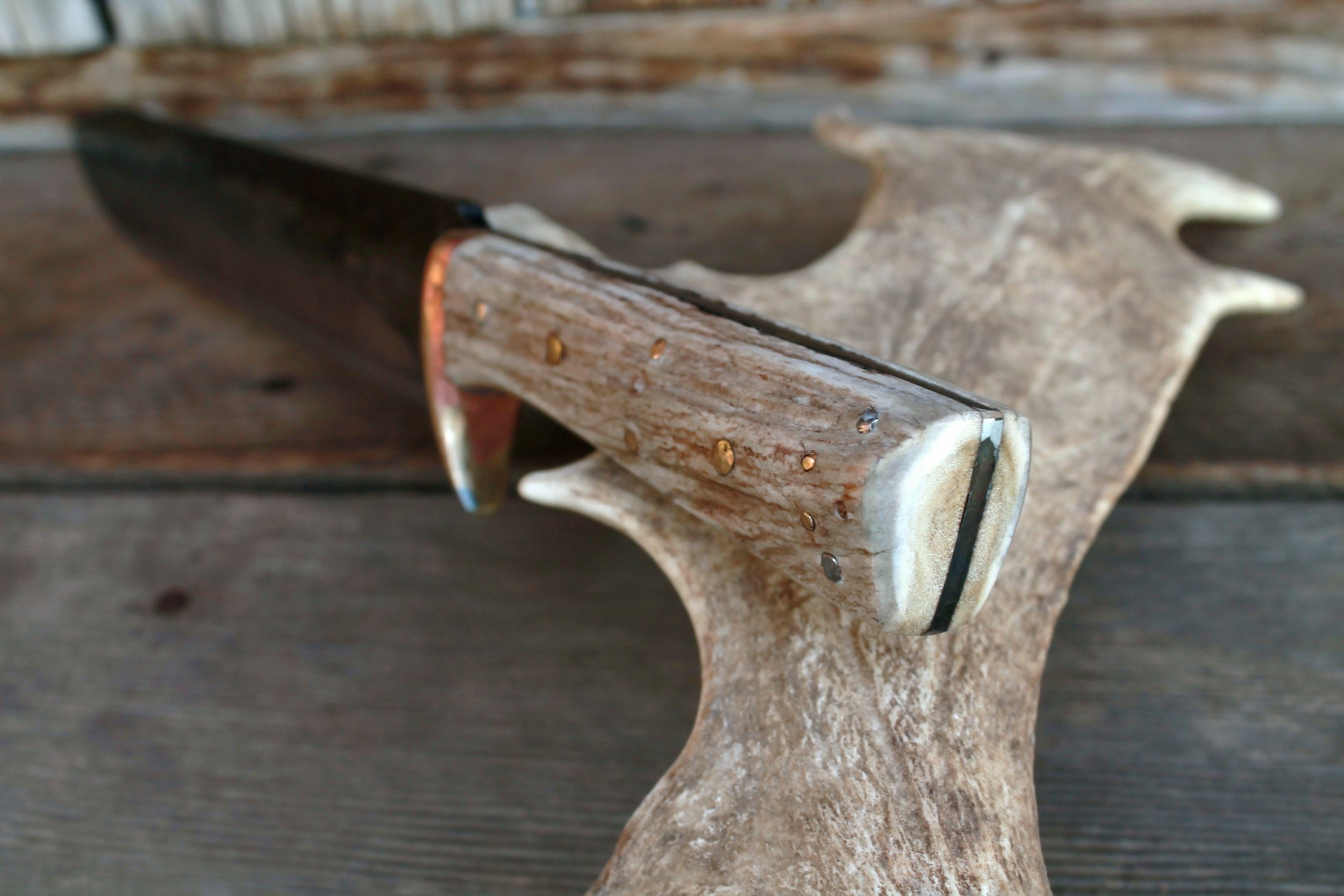 Moose Antler and Brass