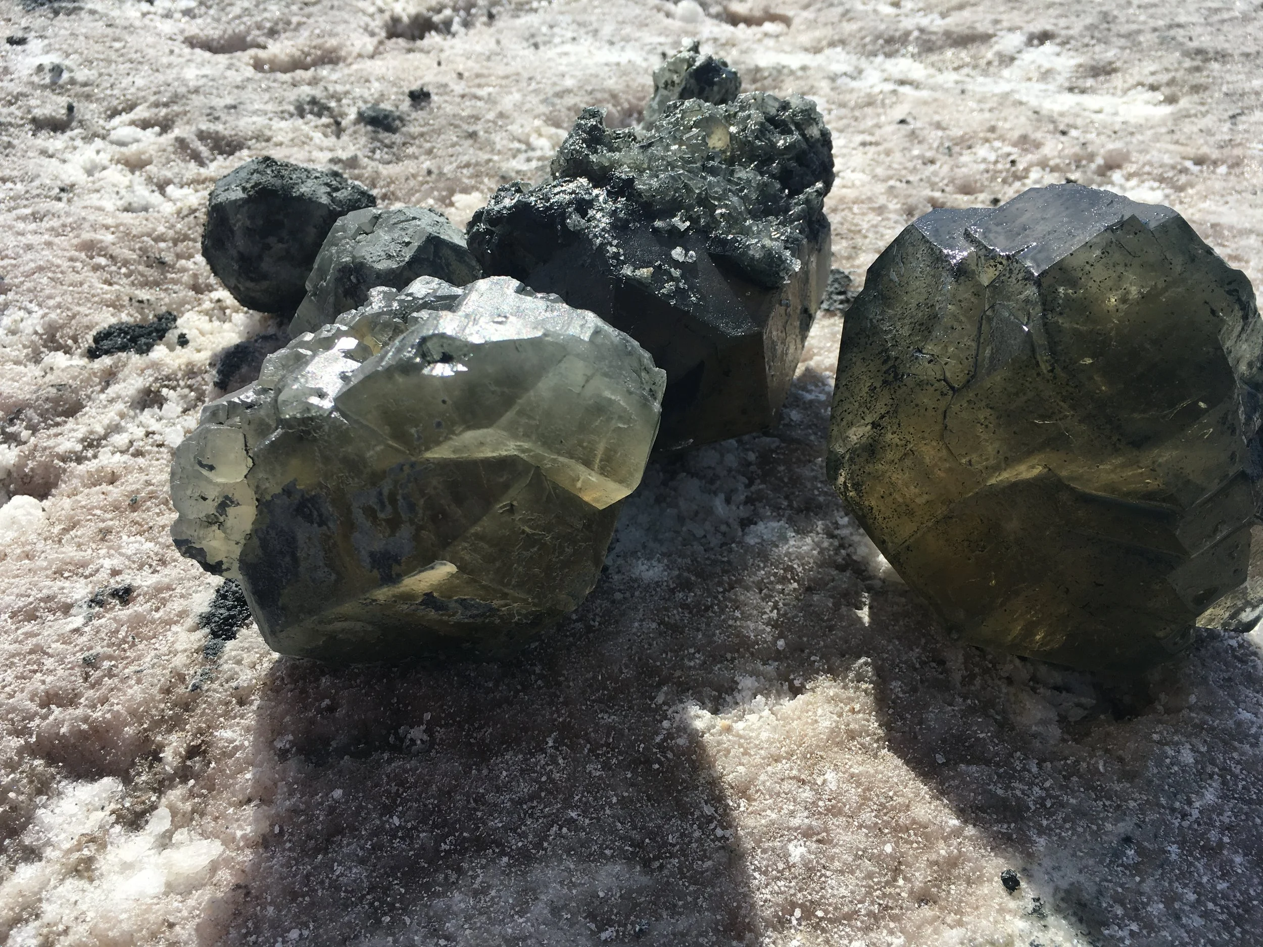 WOLFMAN READING WITH ROY &amp; LEVITSKY