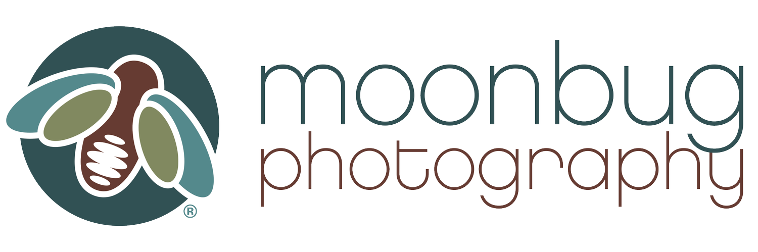 Moonbug Photography