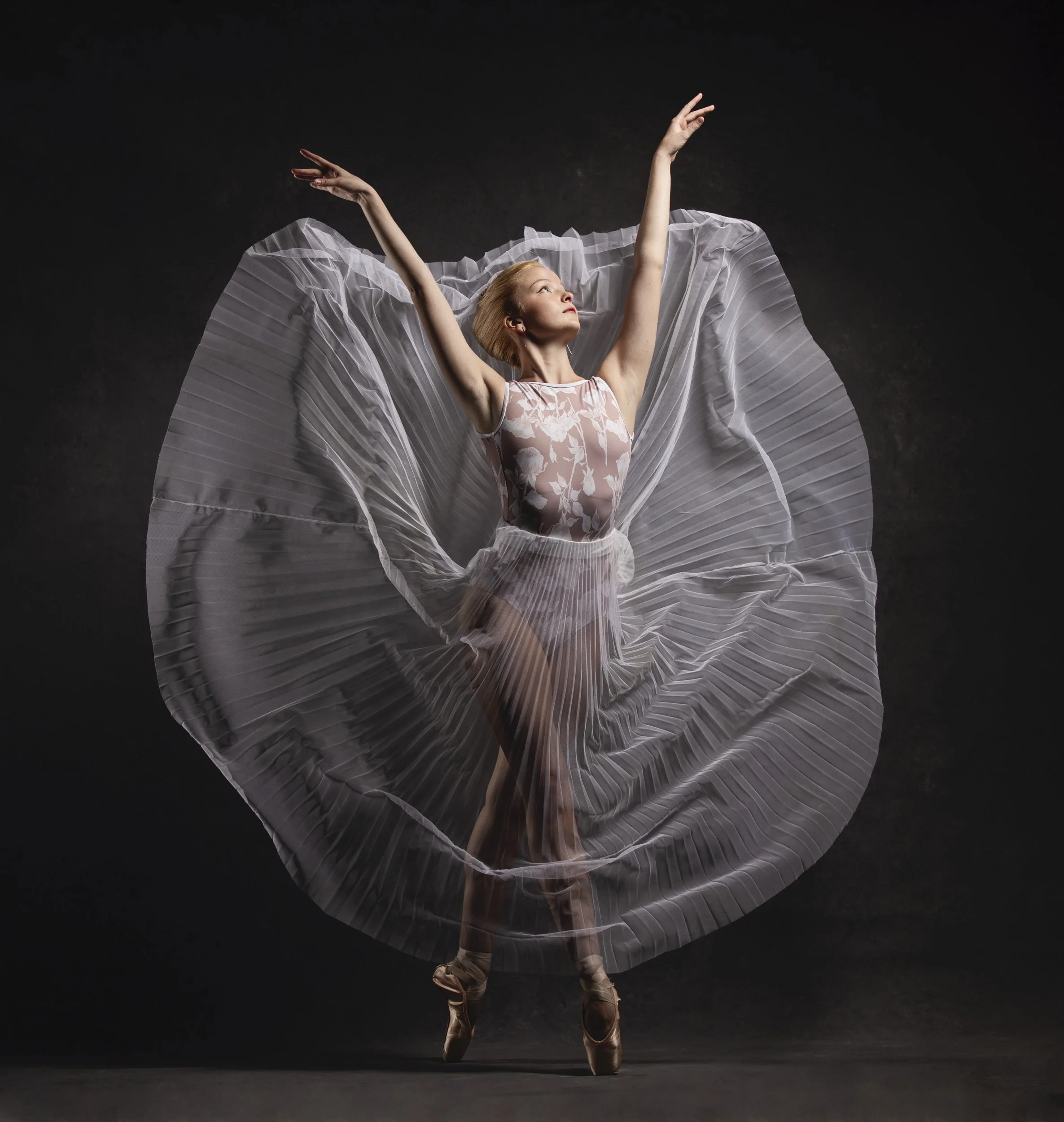 Moonbug-Photography-dancer sheer pleated skirt.jpg