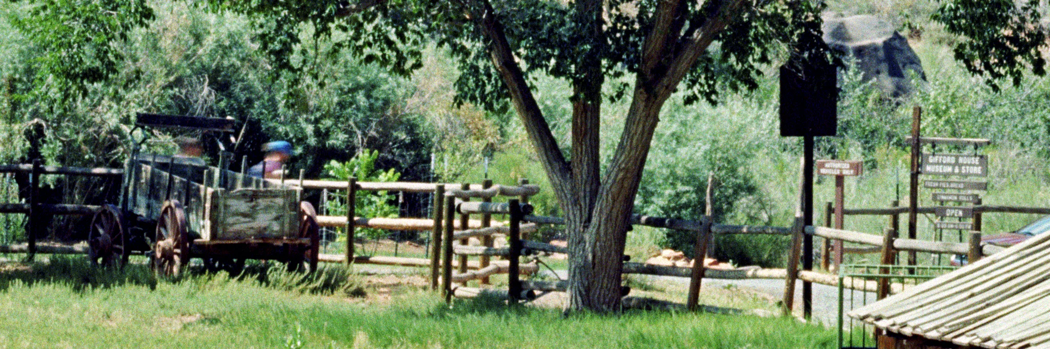 Crop 3.jpg