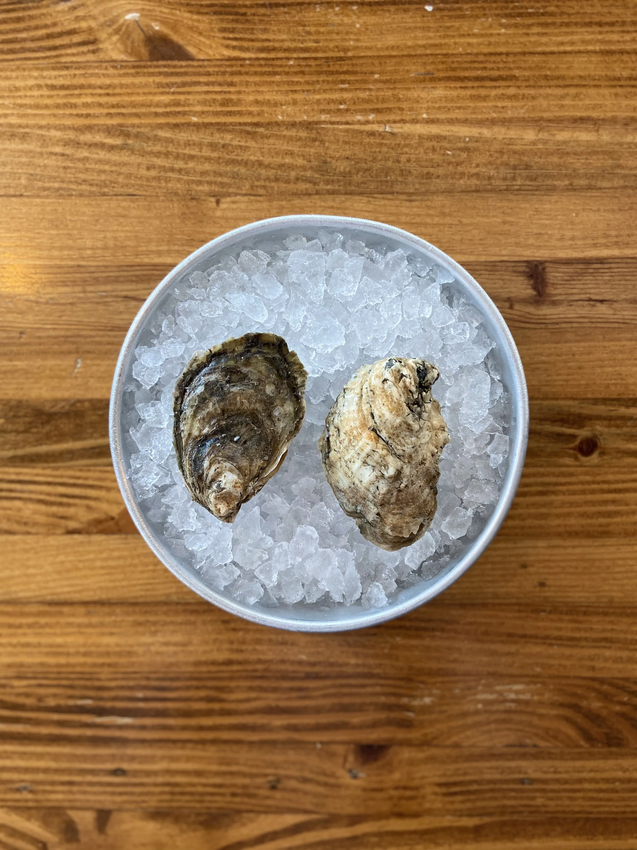 Dylan's Oyster Cellar