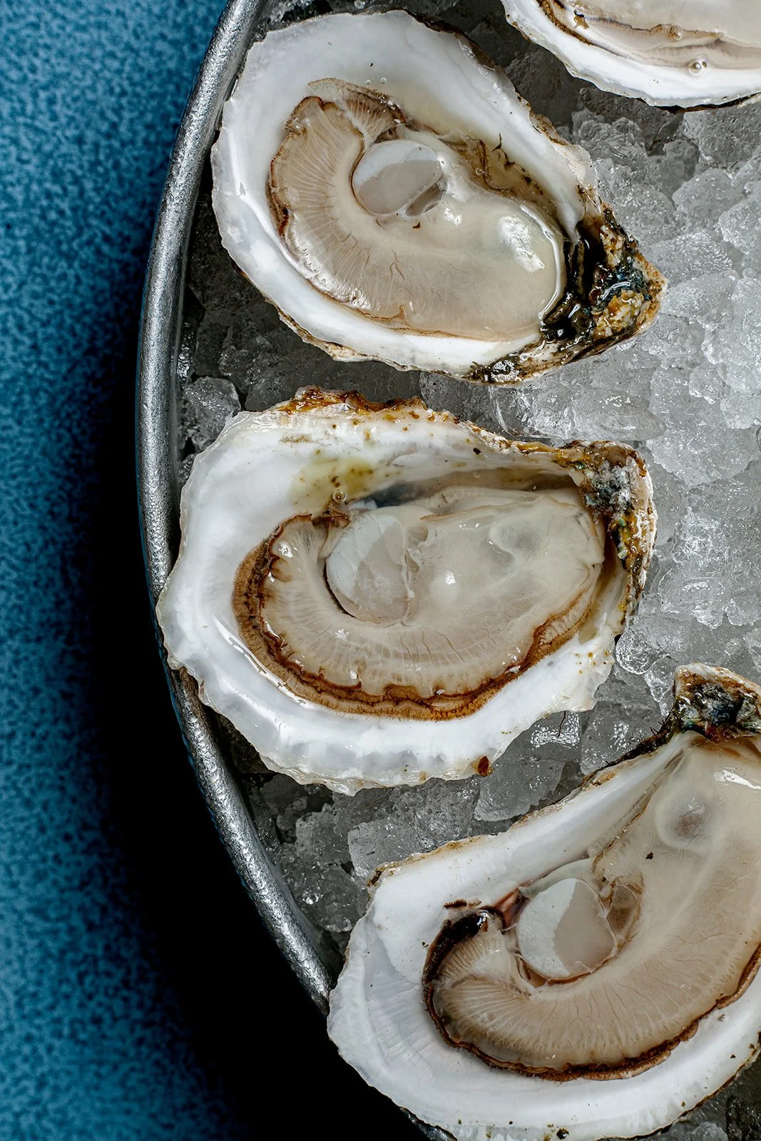 Dylan's Oyster Cellar
