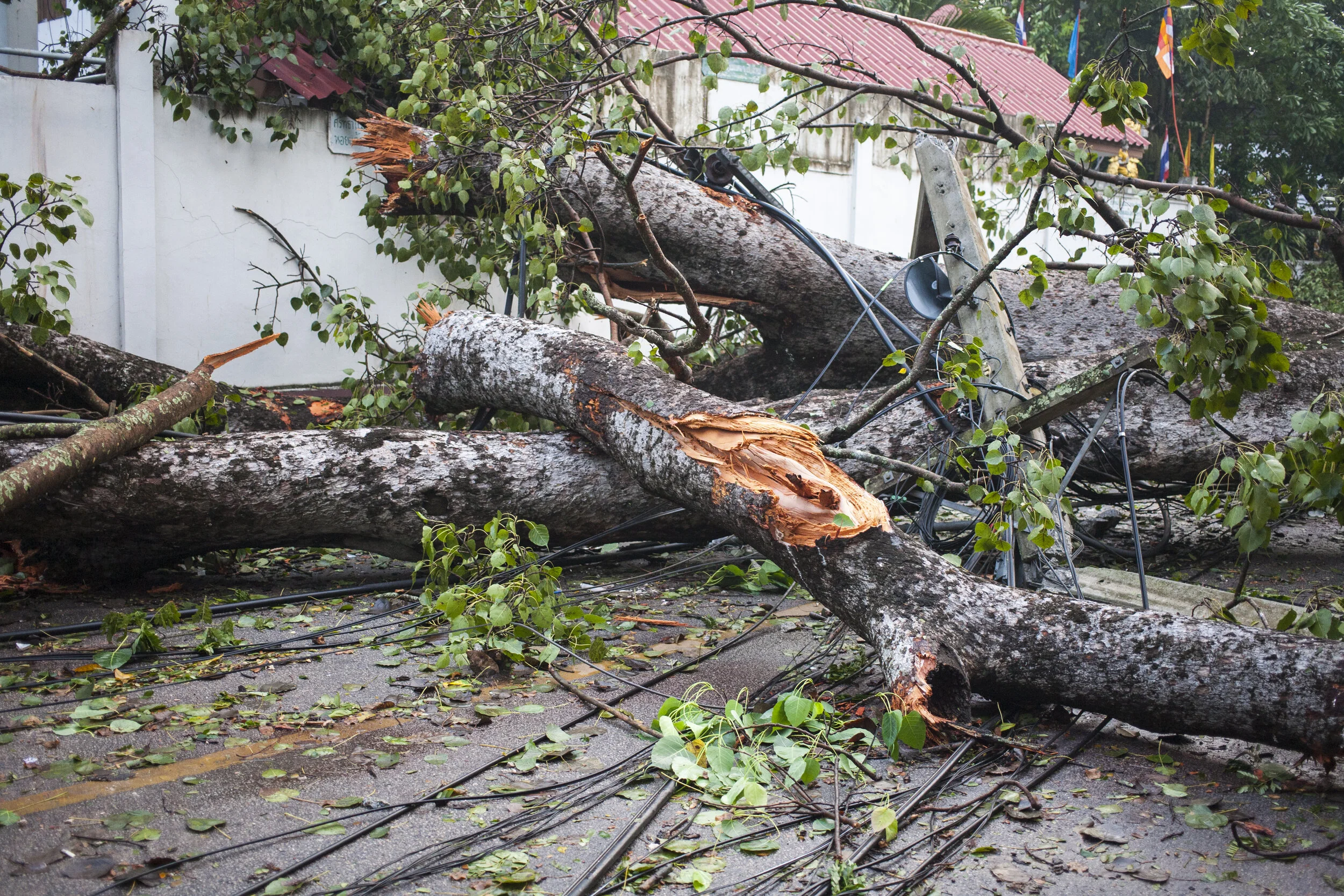 Why Insurers Hire Loss Adjusters
