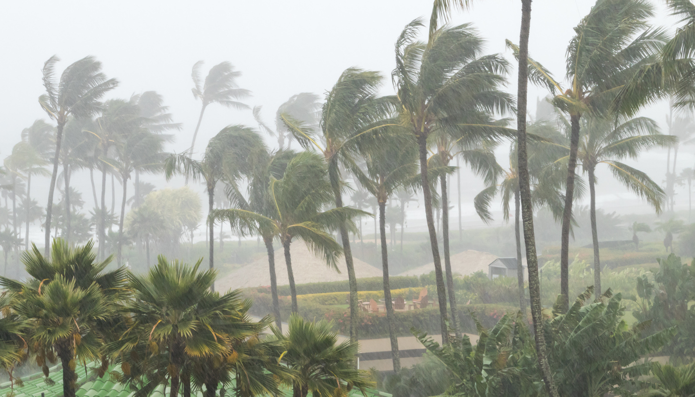 Hurricane Preparedness and Property Damage Assessment - Liberty Adjusters.png