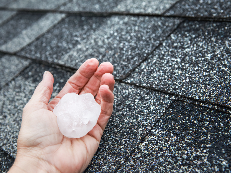 Hail Damage - First Steps to Maximize Your Claim with a Public Adjuster