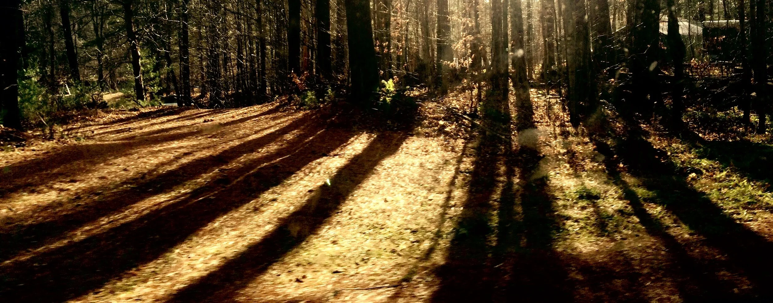 Benny:  Family Support Story #18