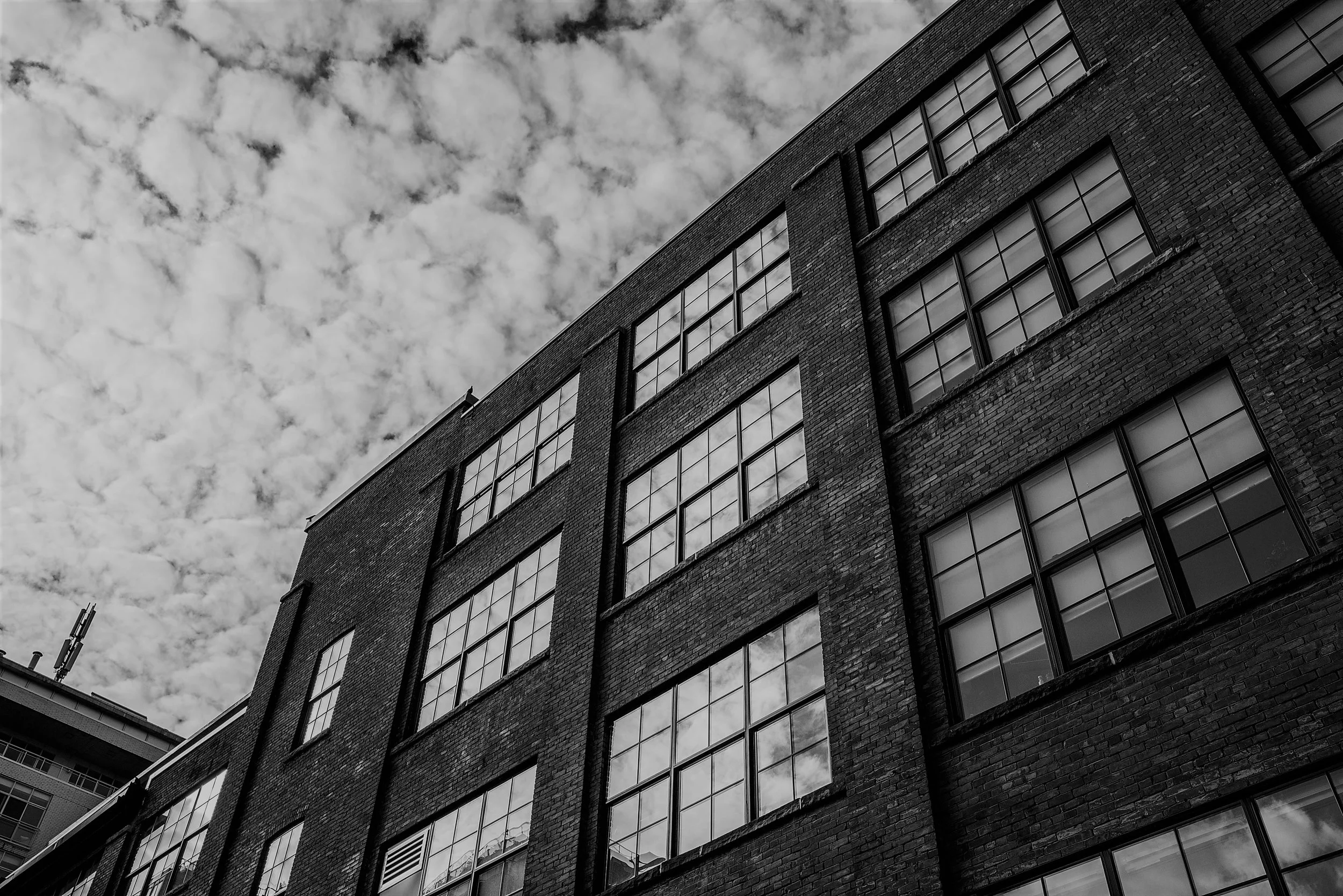 Commercial Loans
