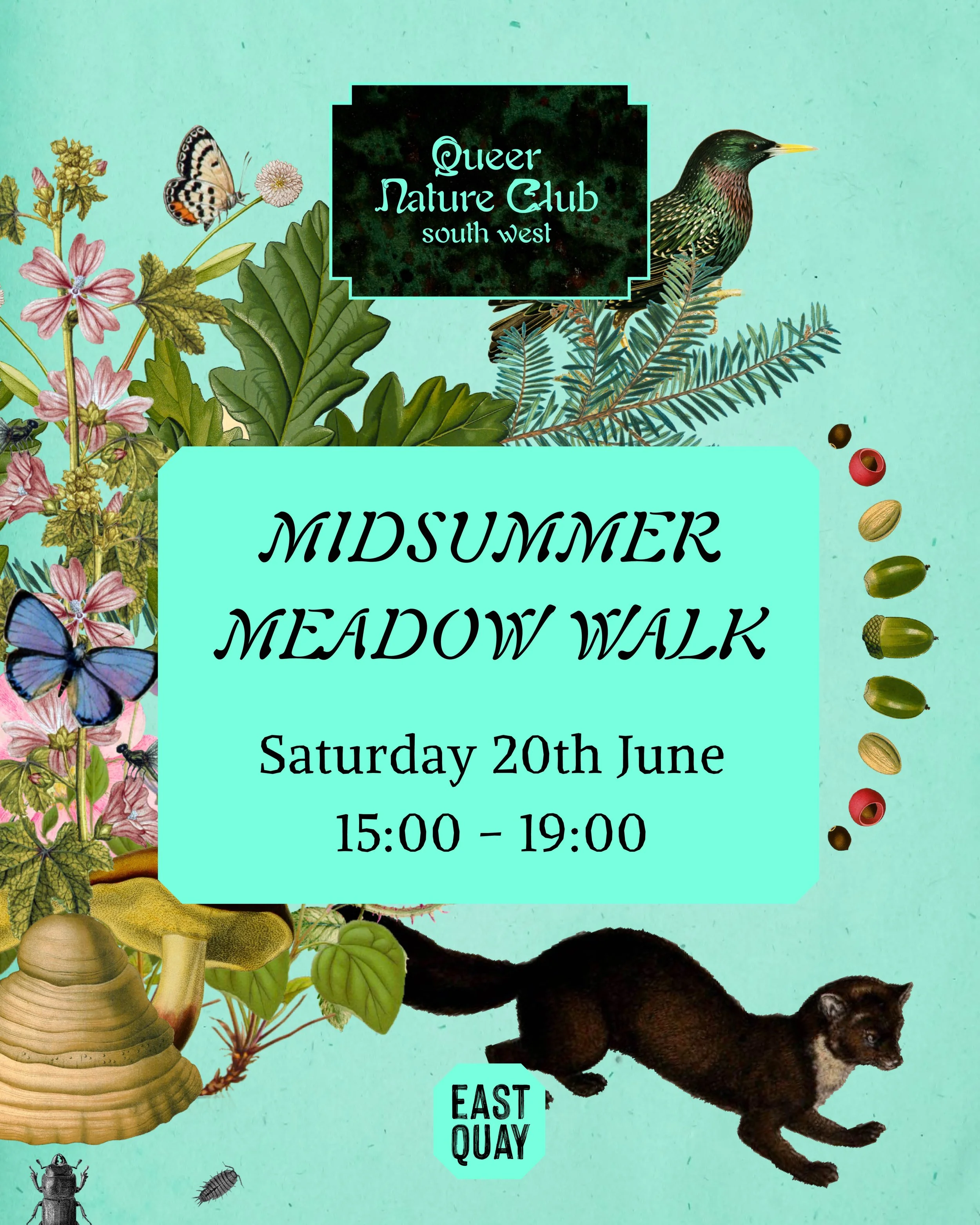 An invitation to a Midsummer Meadow Walk, organised by Queer Nature Club, on Saturday 20th June, 15:00-19:00