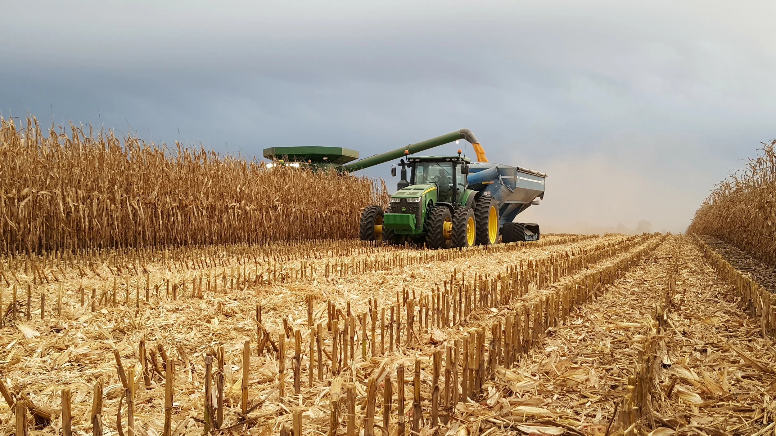 larson farms