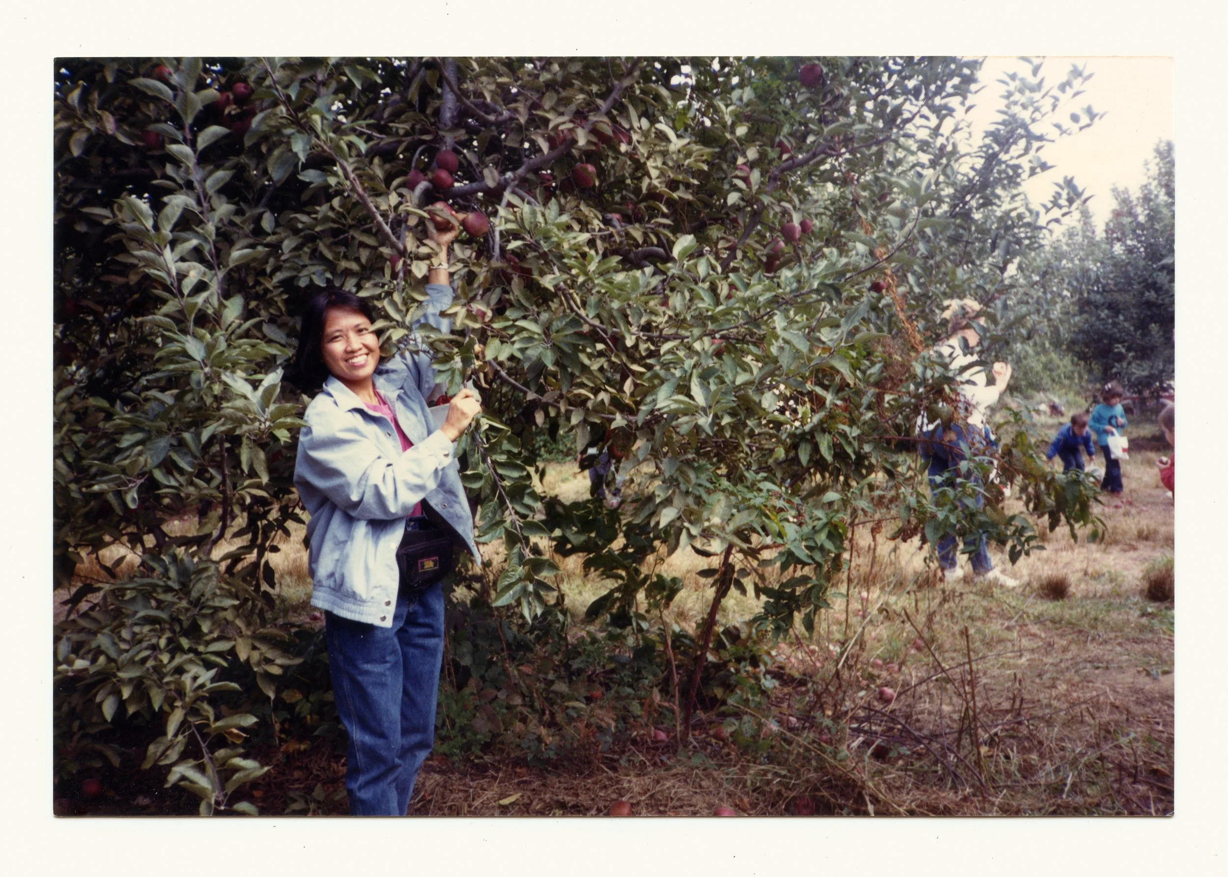 Frigillana_Manong_Apple_Picking.jpg