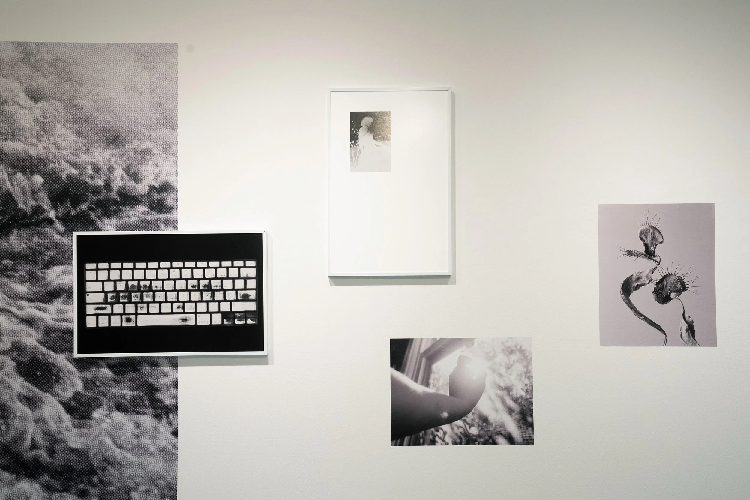 Pandemic-Made_2.jpg