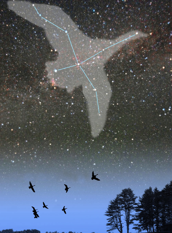 CONSTELLATION.png