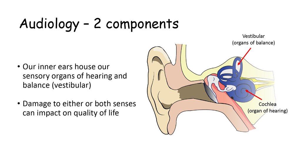 FACOMS_FARA_presentation_2021_page-0018.jpg