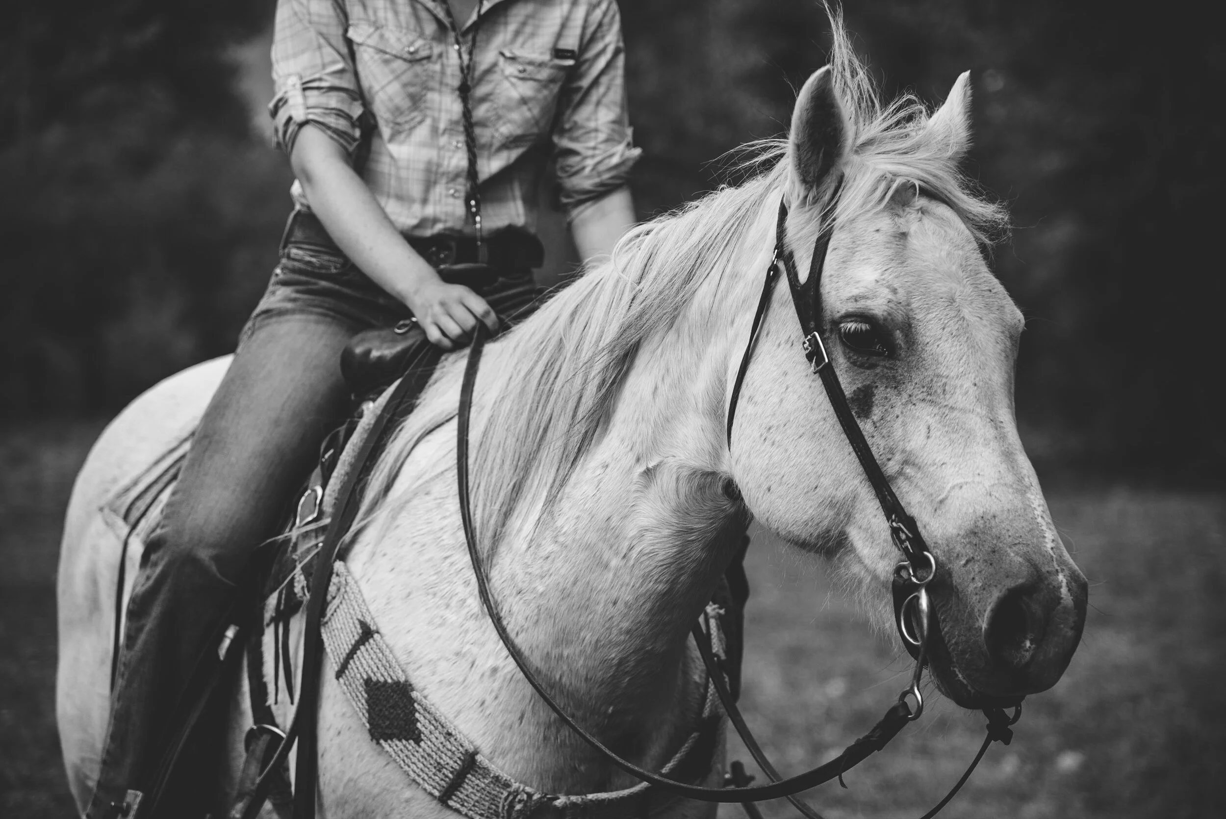 summit2019-502 3.JPG