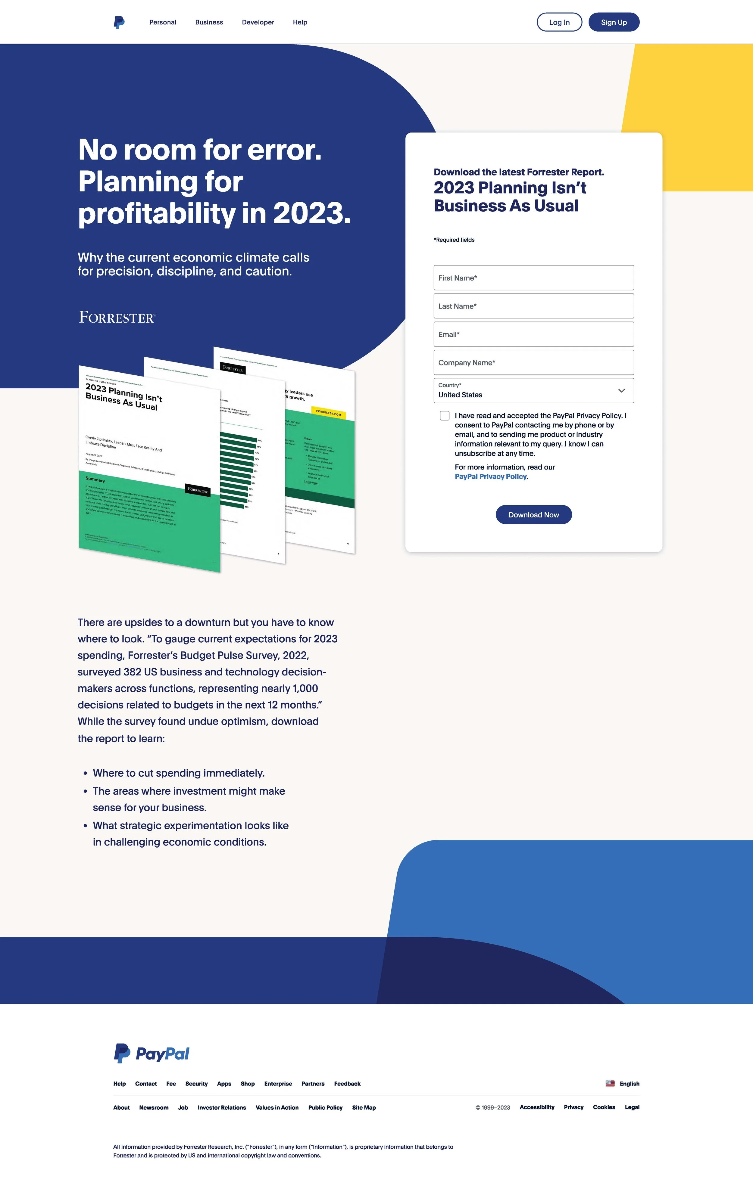 Paypal_Newsletter_Design_2.jpg