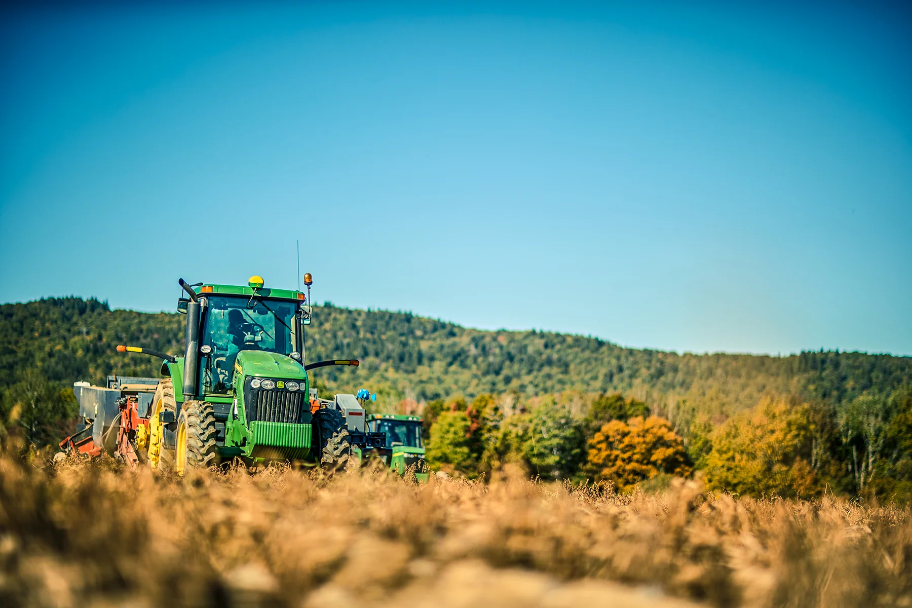 dwp_emhs_buckfarms_092418_107.jpg