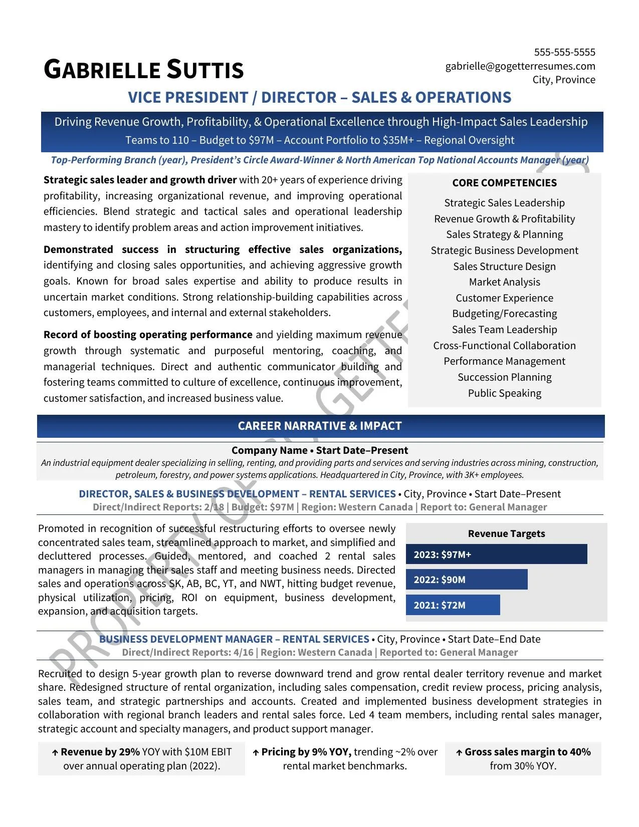 VP:Director - Sales & Operations-1.jpg