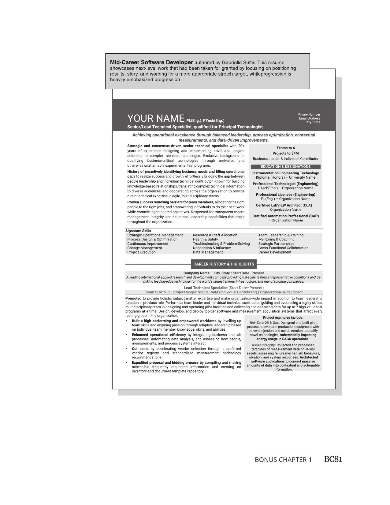 Published - Software Developer-1.jpg