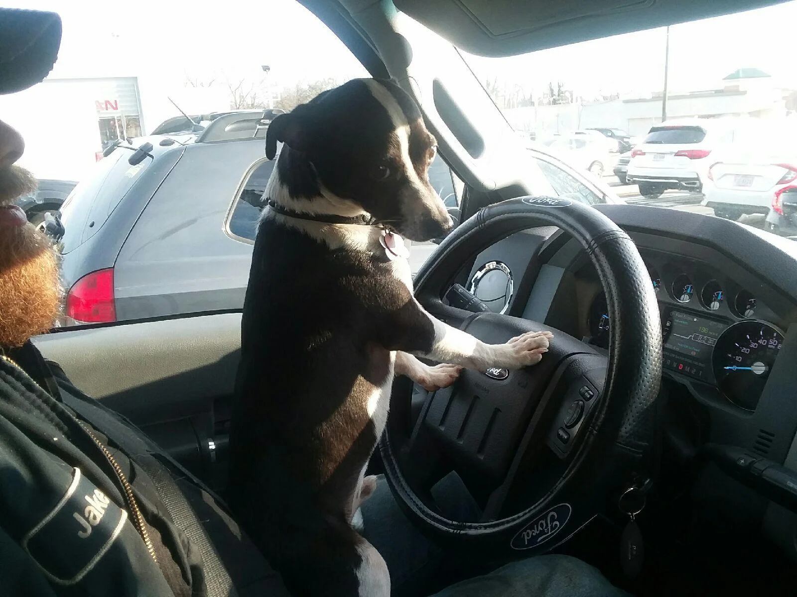 Little Mikey Driving.jpg